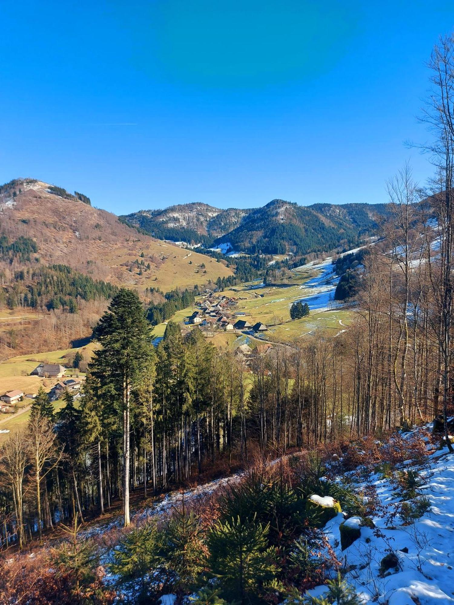 Ferienwohnungen Haus Hees Todtnau Esterno foto