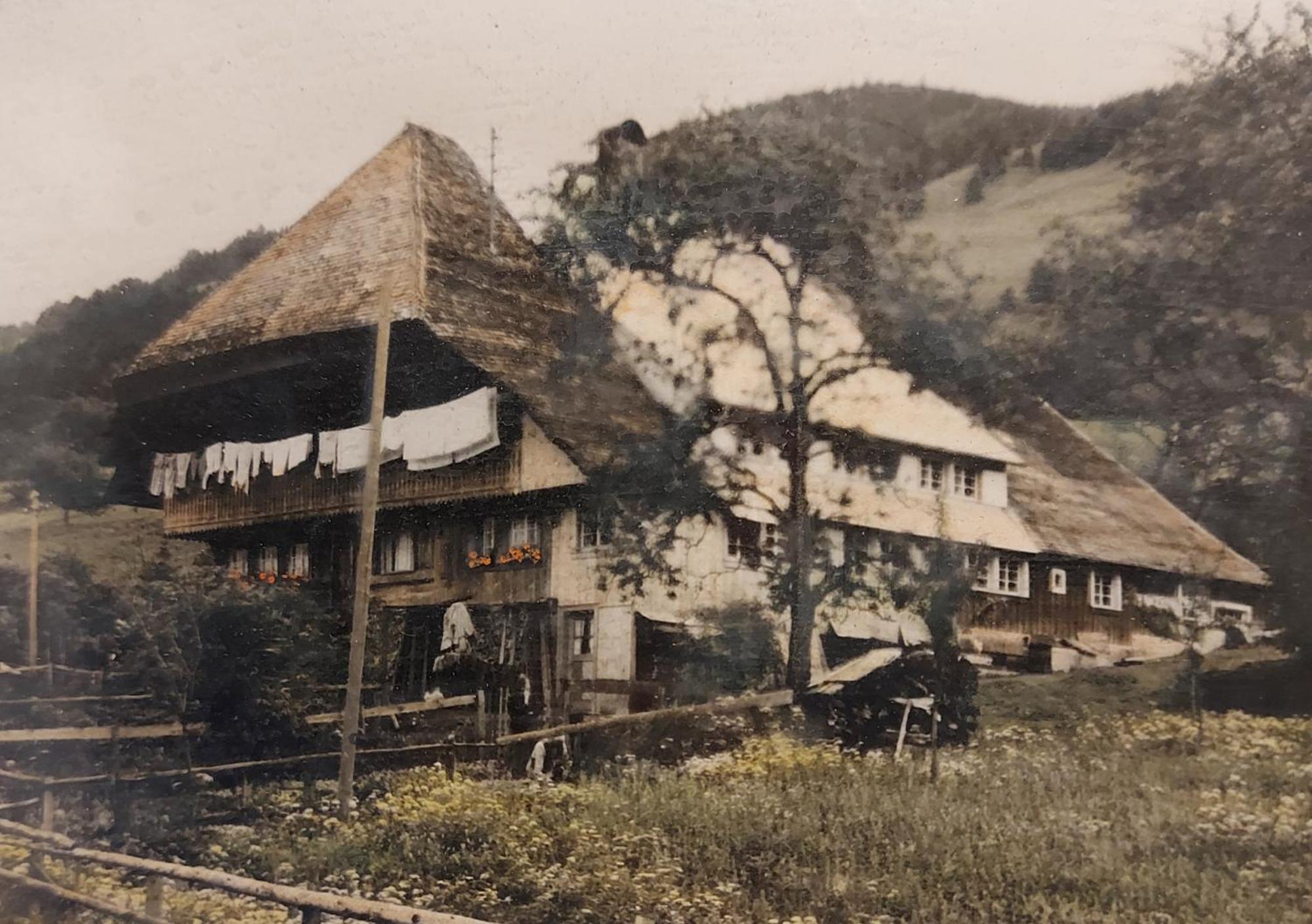 Ferienwohnungen Haus Hees Todtnau Esterno foto